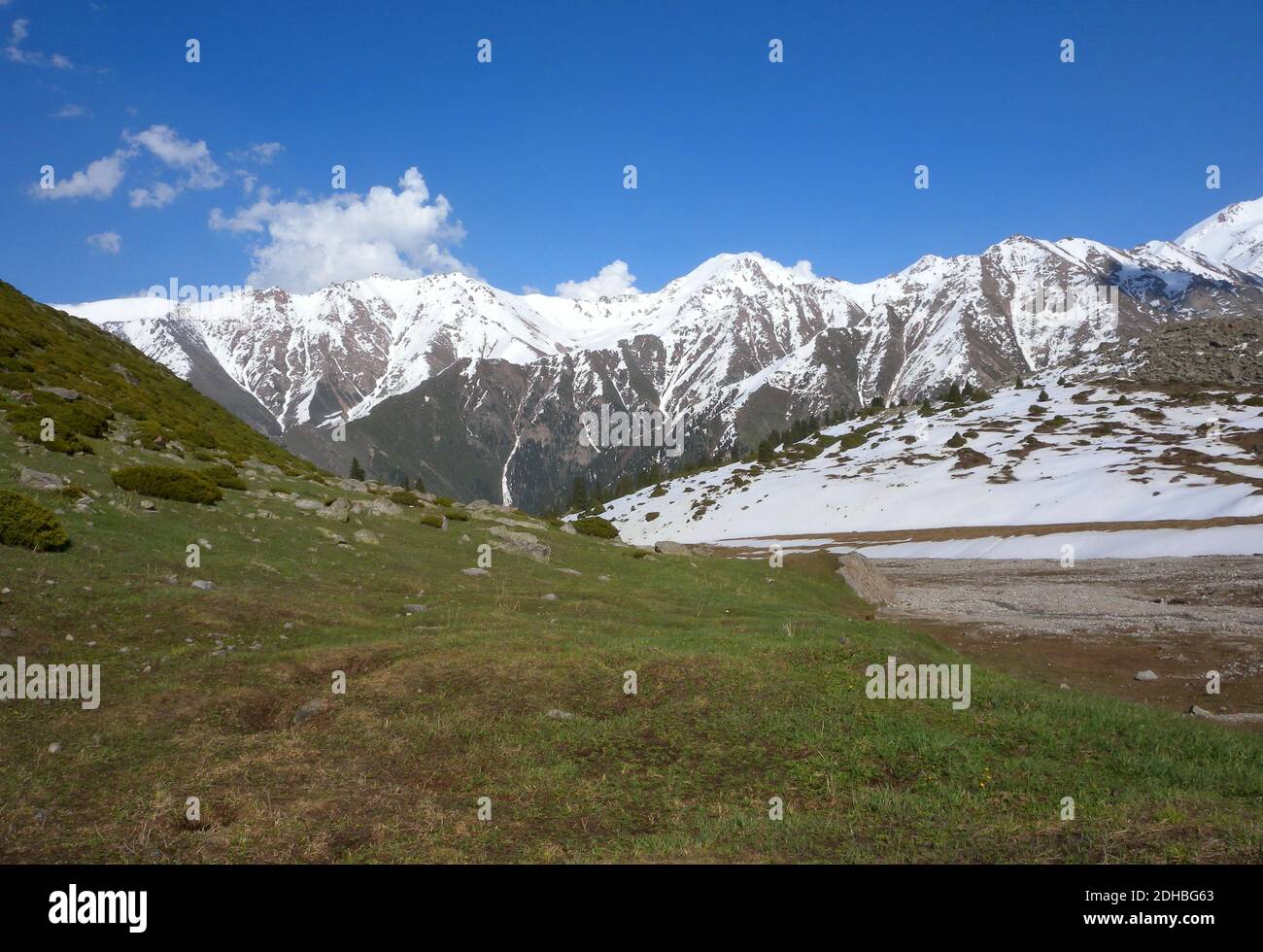 Montagne dopo la tarda nevicata Tien Shan montagne, Ili-Alatau NP, Kazakhstan Maggio Foto Stock