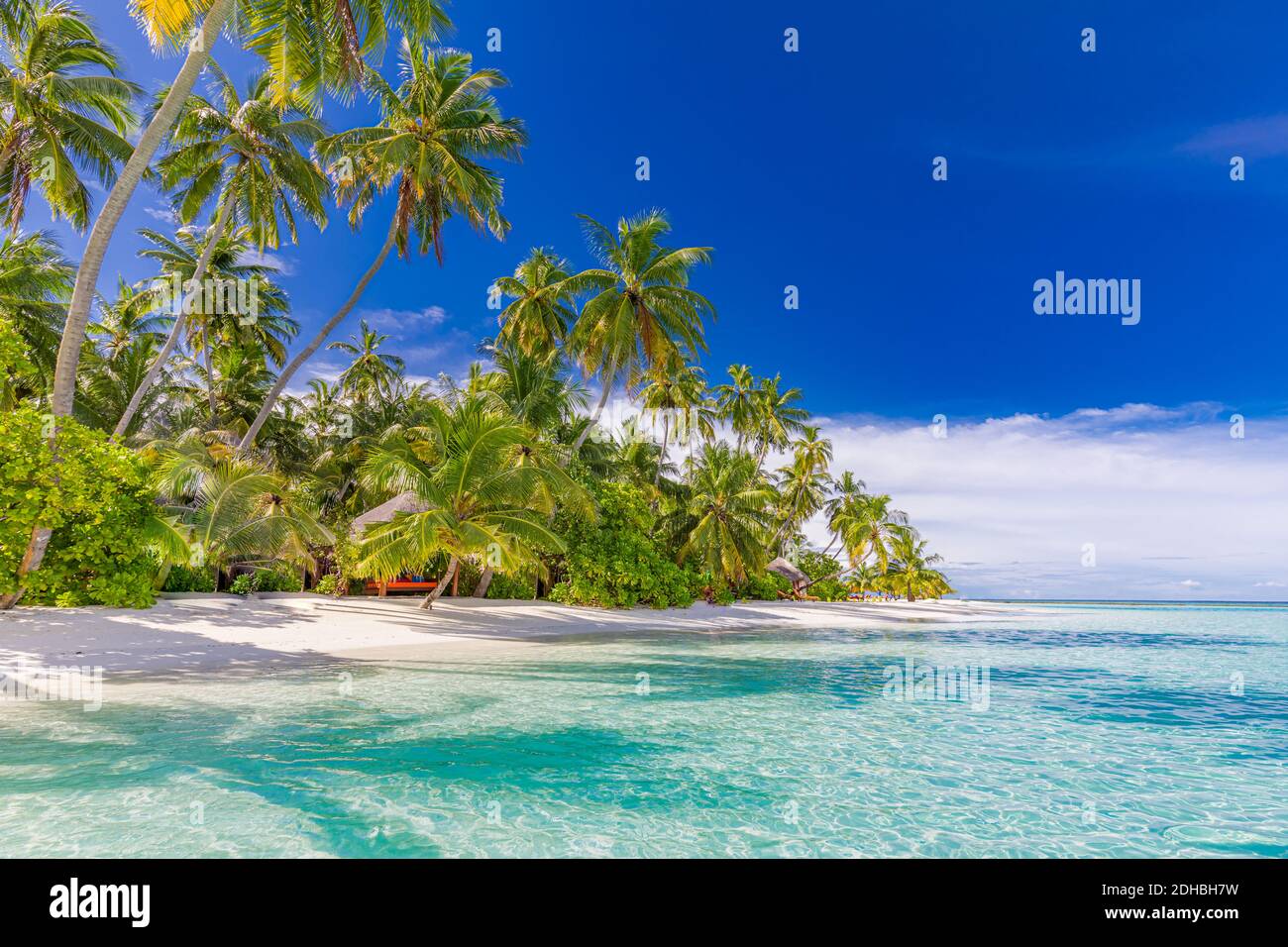 Incredibile spiaggia naturale con palme e cielo di luna. Vacanza estiva viaggio vacanza concetto di sfondo. Maldive paradiso spiaggia. Viaggi estivi di lusso Foto Stock