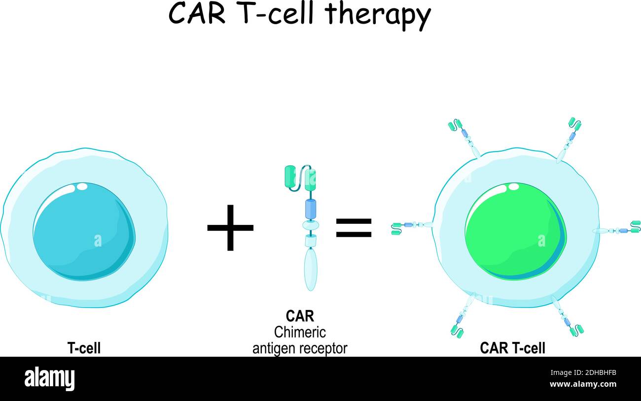 Immunoterapia. Cellule T e recettore dell'antigene chimerico (CAR). Terapia biologica Illustrazione Vettoriale