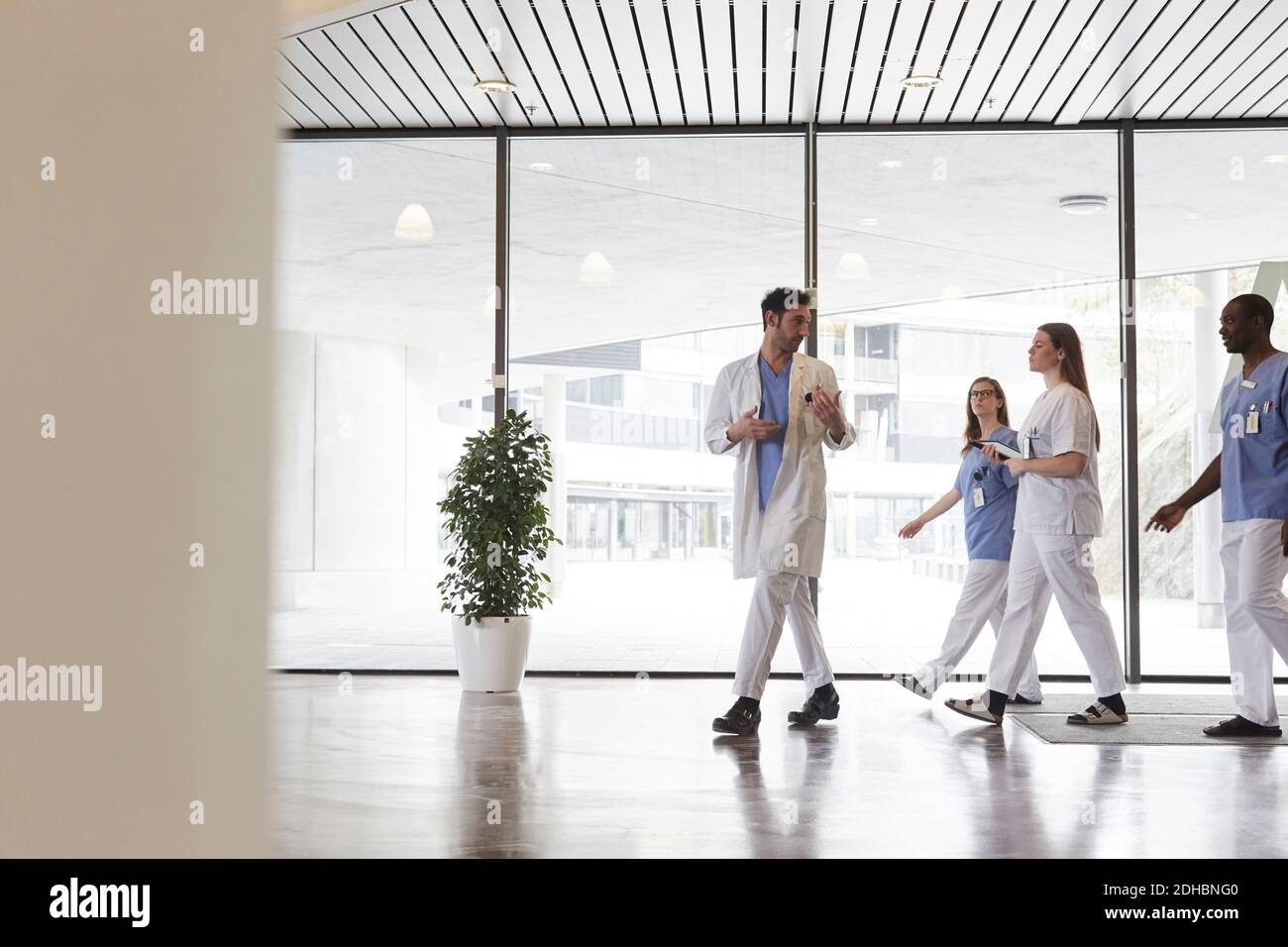 Tutta la lunghezza dei medici e degli infermieri che discutono mentre camminano dentro corridoio contro la finestra dell'ospedale Foto Stock