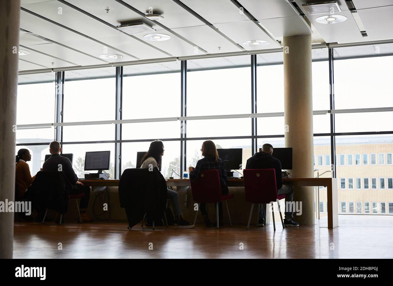 Studenti di sesso maschile e femminile che parlano mentre si siedono in un laboratorio informatico all'università Foto Stock