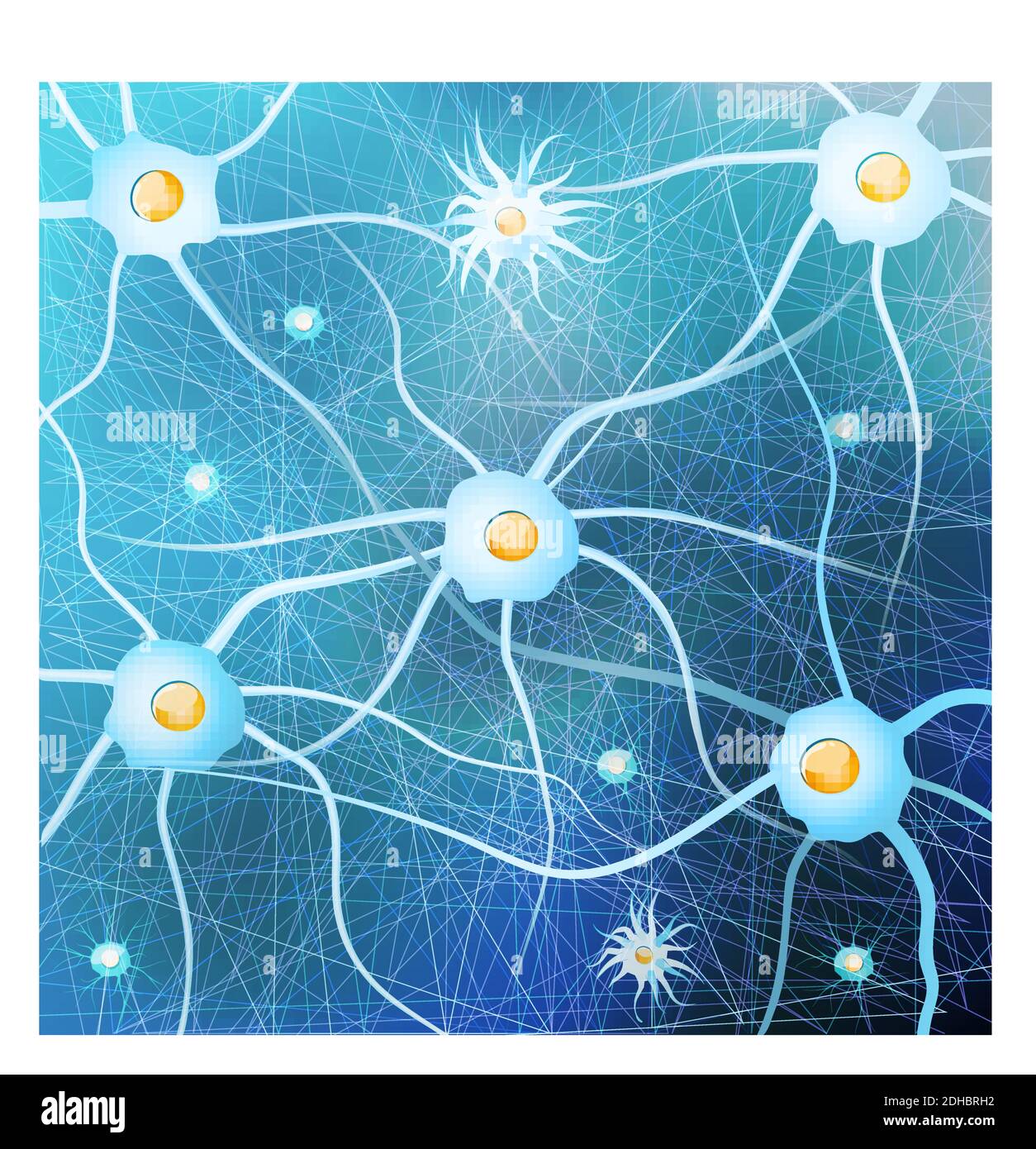 Neuroni e cellule gliali nel cervello su sfondo blu. Modello vettoriale per uso progettuale, biologico, scientifico ed educativo. Illustrazione Vettoriale