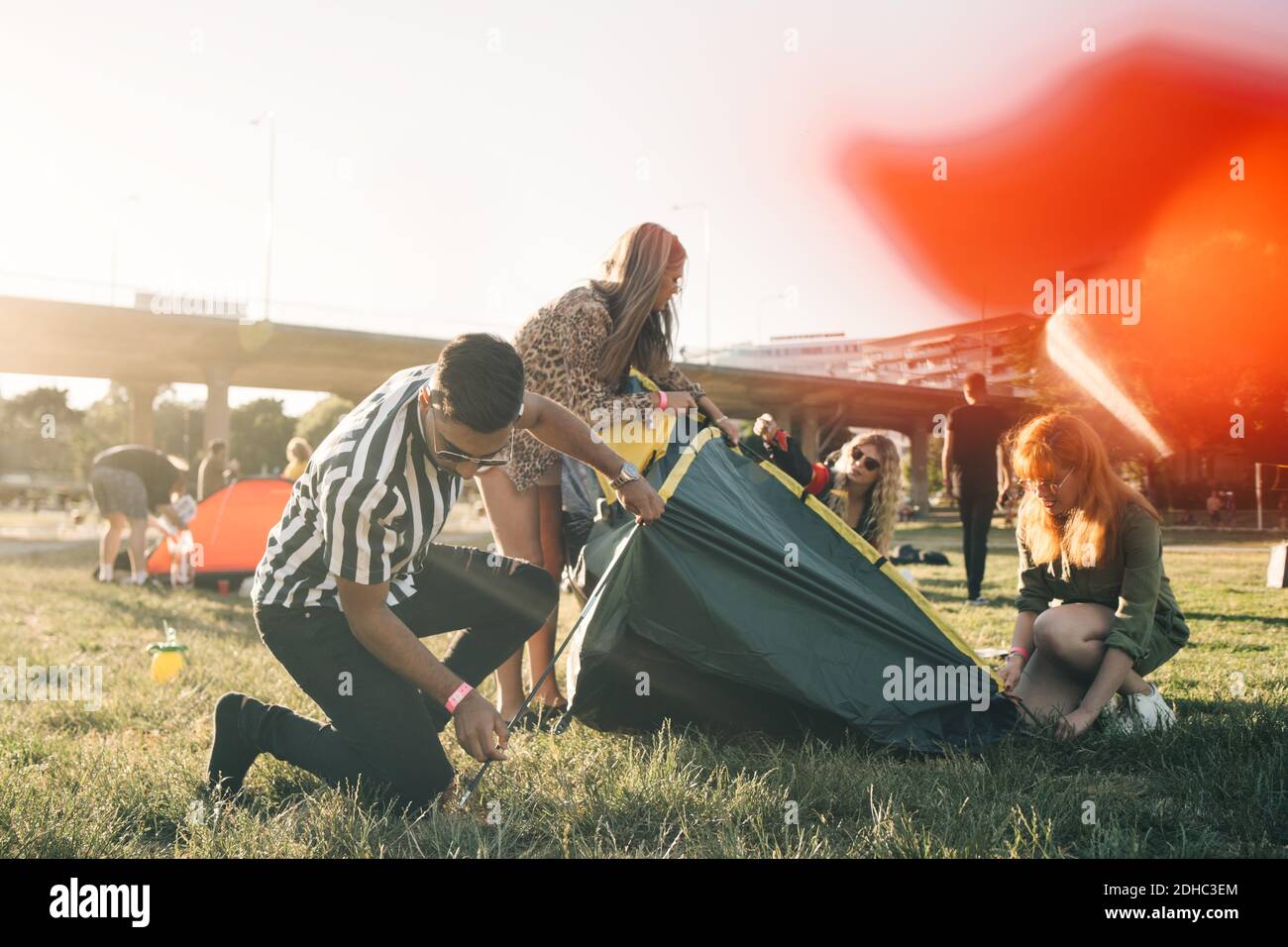 Amici maschili e femminili che fanno tenda insieme sul prato durante estate Foto Stock