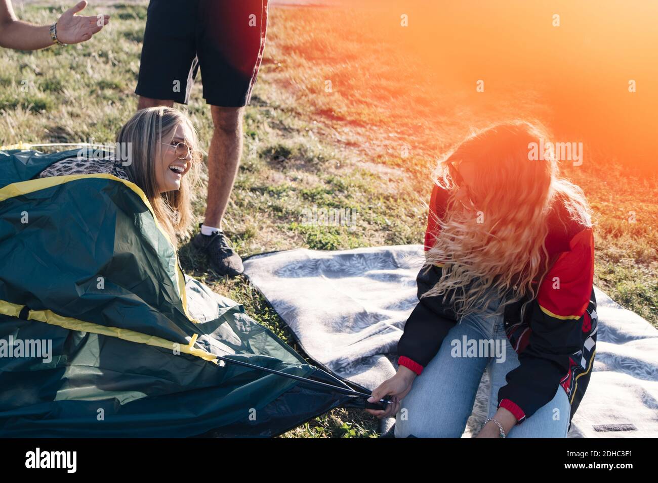 Amici divertenti che si divertano mentre fanno tenda n prato all'evento Foto Stock