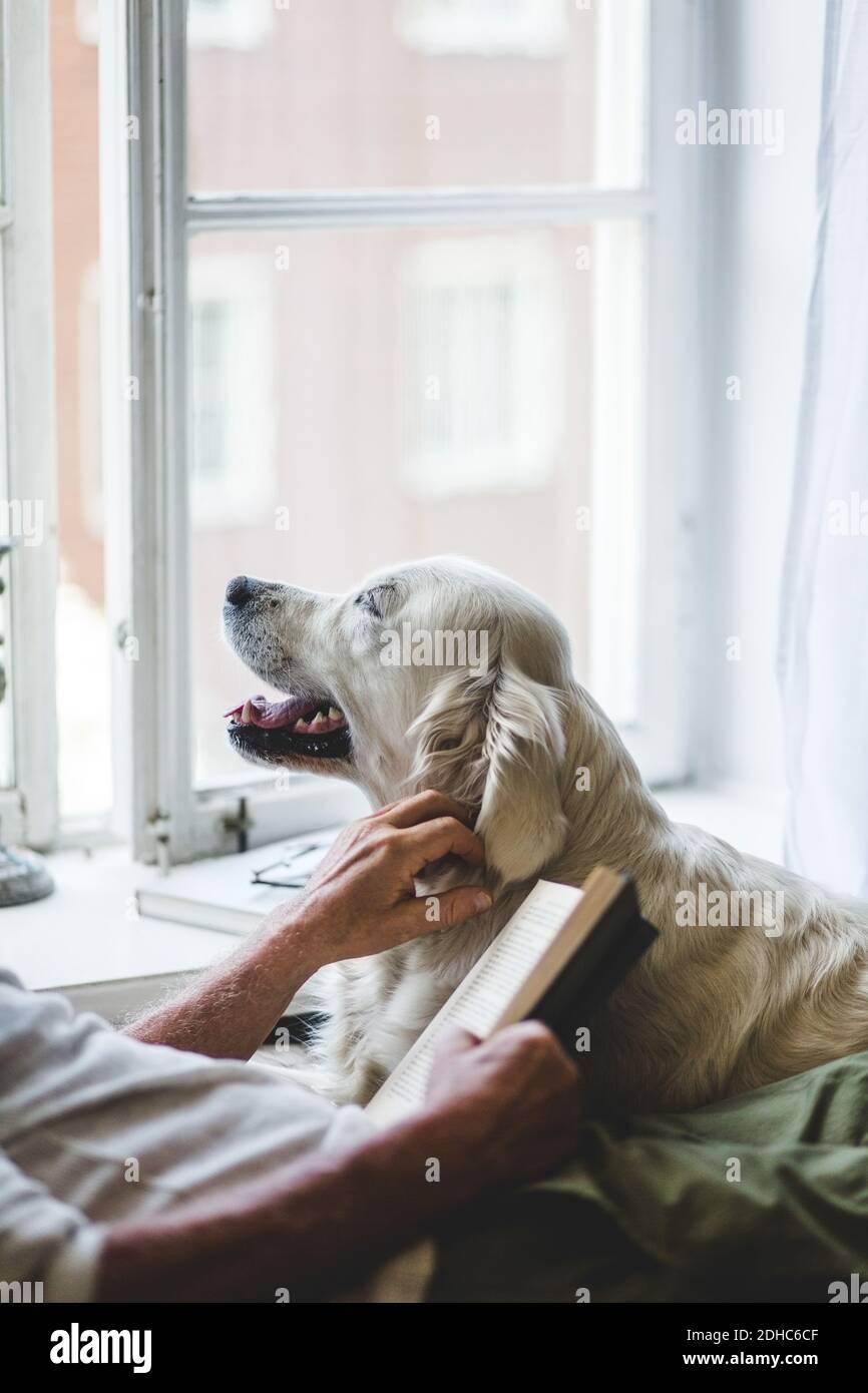 La sezione centrale dell'uomo anziano che stroking il cane mentre tiene il libro sopra letto a casa Foto Stock