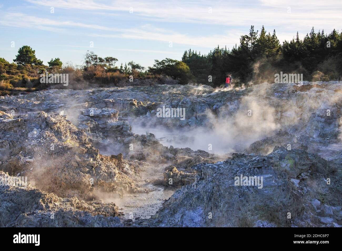 La cottura a vapore piscine di fango, Hell's Gate e WaiOra Spa, Rotorua, Baia di Planty Regione, Isola del nord, Nuova Zelanda Foto Stock