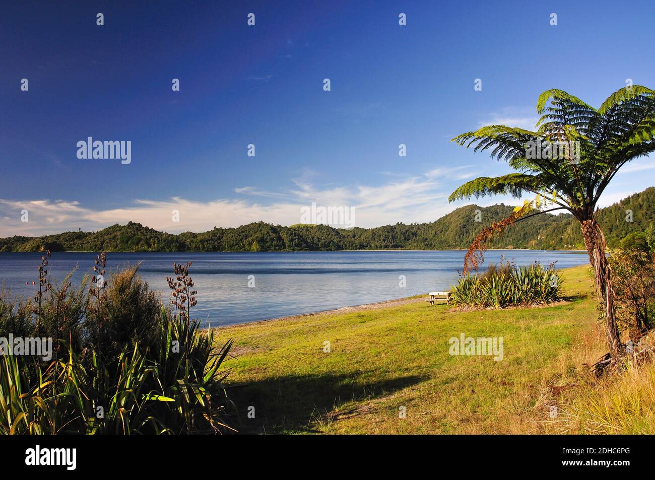 Lago Rotoma dalla Statale 30, Distretto di Rotorua, Baia di Planty Regione, Isola del nord, Nuova Zelanda Foto Stock