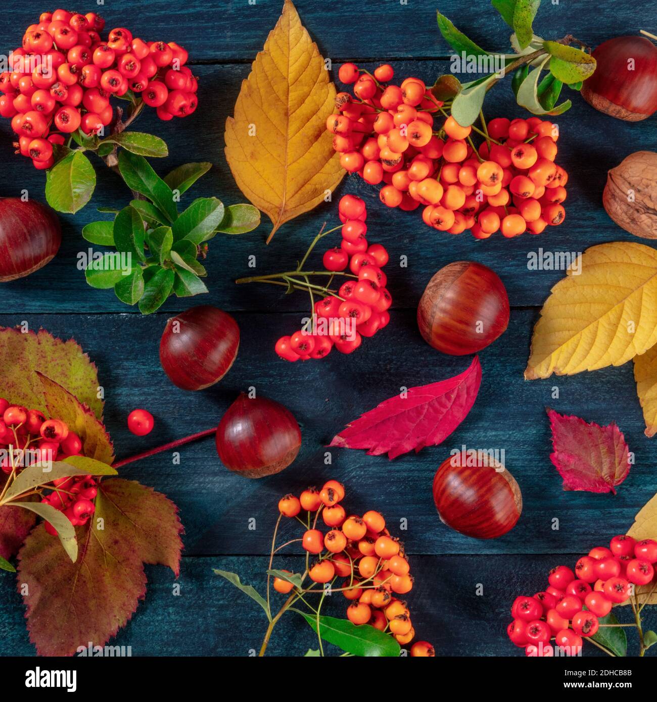 Composizione autunnale quadrata con foglie e castagne, colpo d'alto Foto Stock