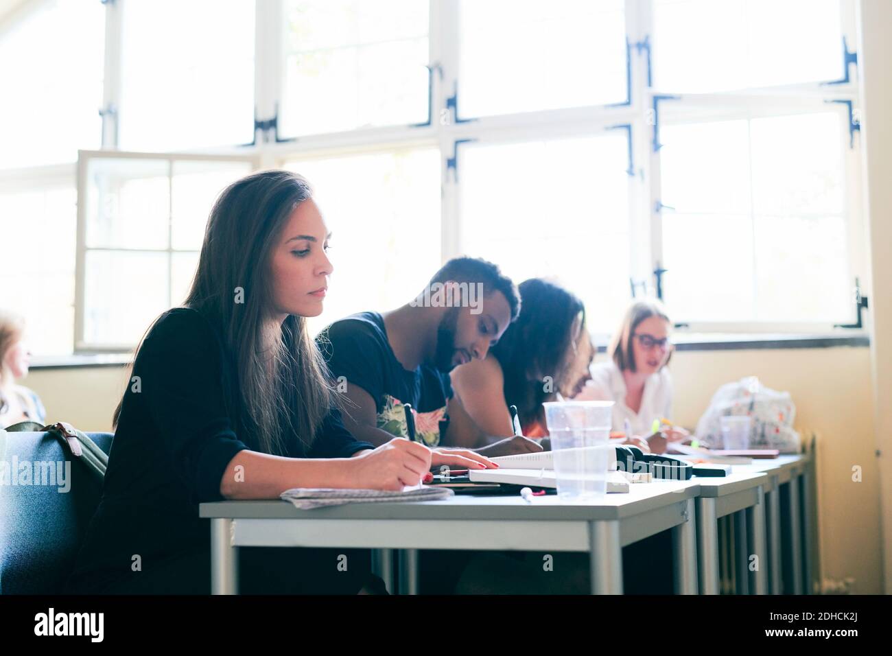 Donna mid adulta che studia con compagni di classe nella scuola di lingua Foto Stock