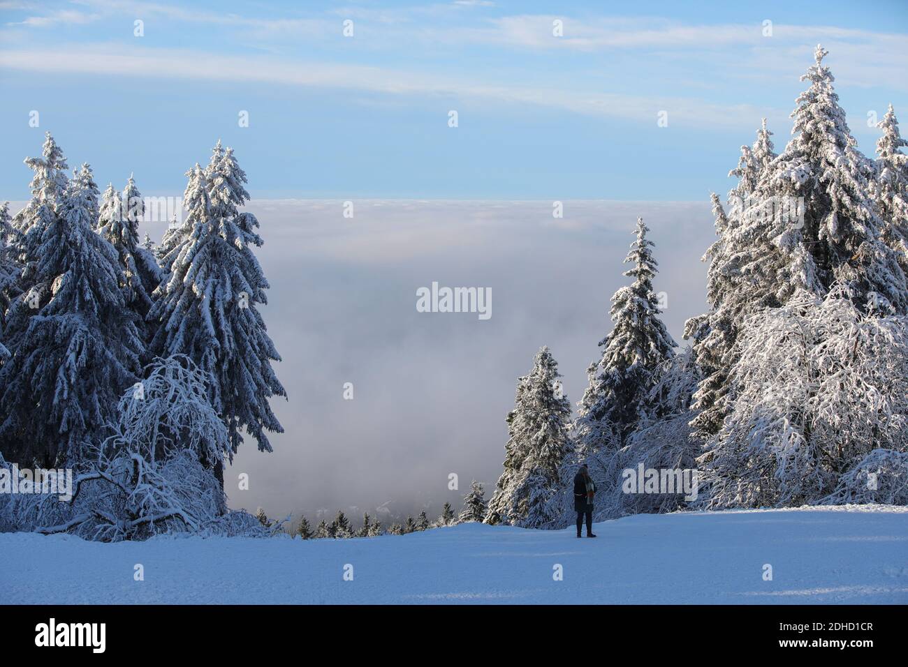 Taunus, Germania. 10 dicembre 2020. Foto scattata il 10 dicembre 2020 mostra il paesaggio invernale sulla cima del monte Grosser Feldberg nella regione del Taunus, in Germania. Credit: Armando Babani/Xinhua/Alamy Live News Foto Stock