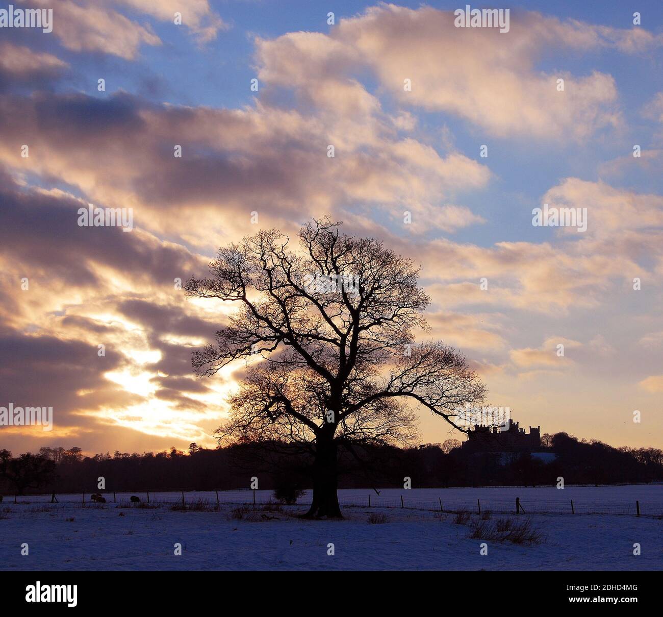 Castello di Belvoir tramonto invernale Foto Stock
