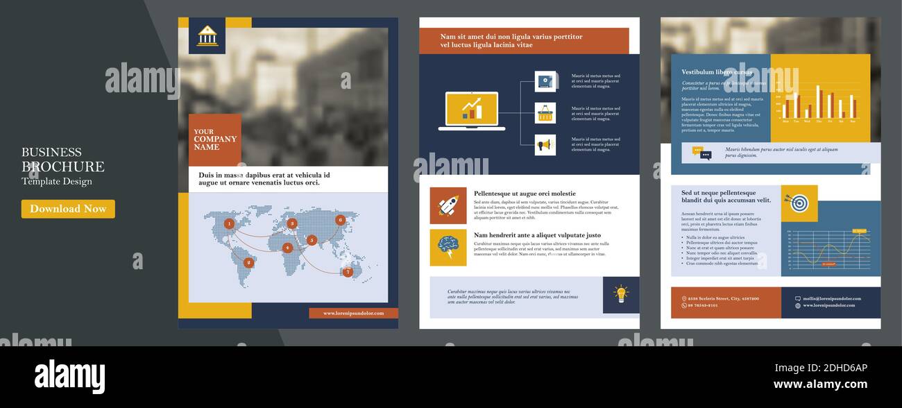Modello di rapporto annuale aziendale, copertina, catalogo, opuscolo, opuscolo, opuscolo, modello di volantino, formato rivista a4. Elementi delle infografiche per il rapporto A. Illustrazione Vettoriale