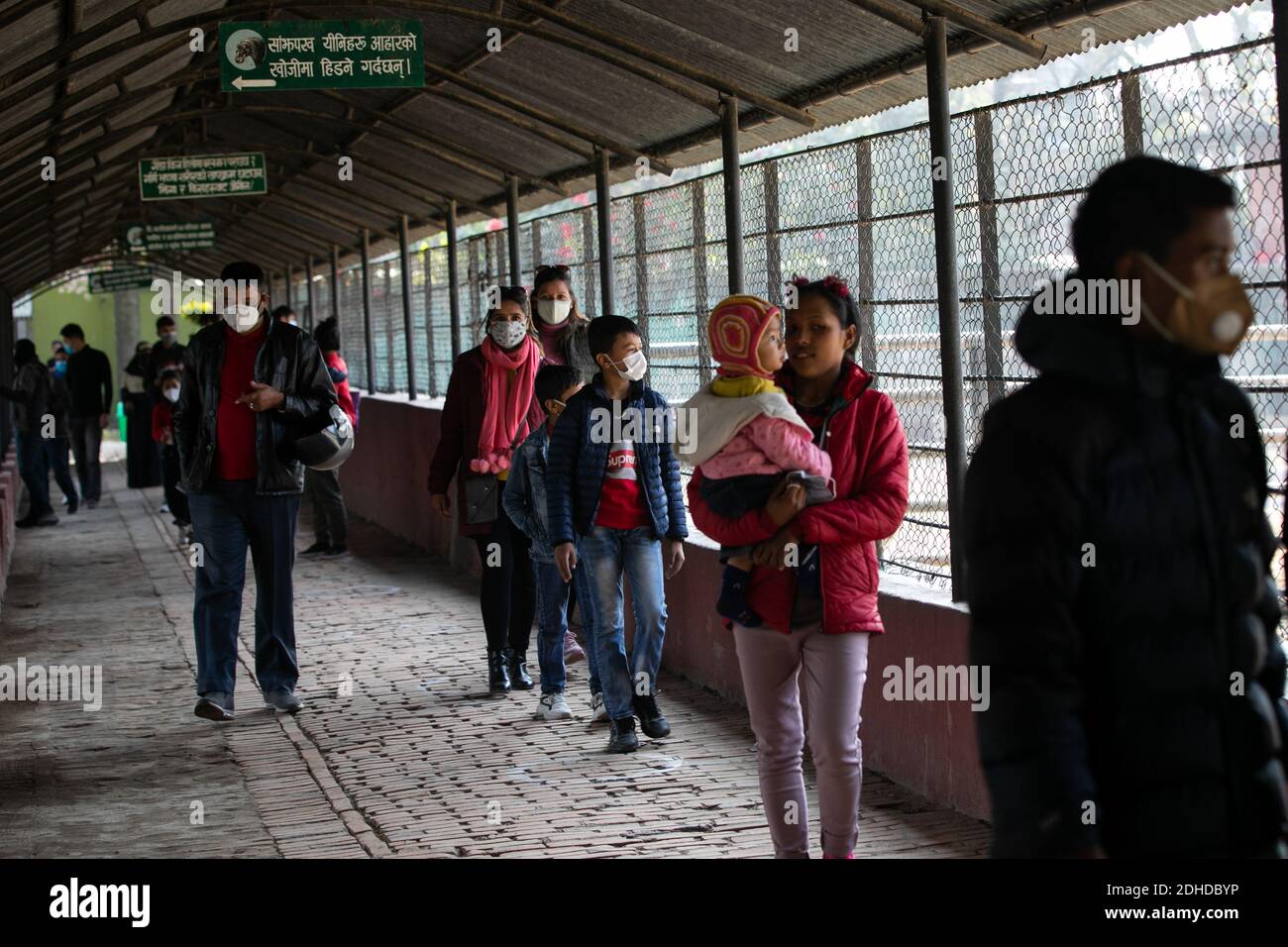 I visitatori che indossano maschere per il viso guardano gli animali allo zoo centrale di Lalitpur. Lo zoo centrale con sede a Jawalakhel, chiuso da otto mesi a causa della pandemia di coronavirus, sarà riaperto il 11 dicembre adottando misure di sicurezza sanitaria. Foto Stock