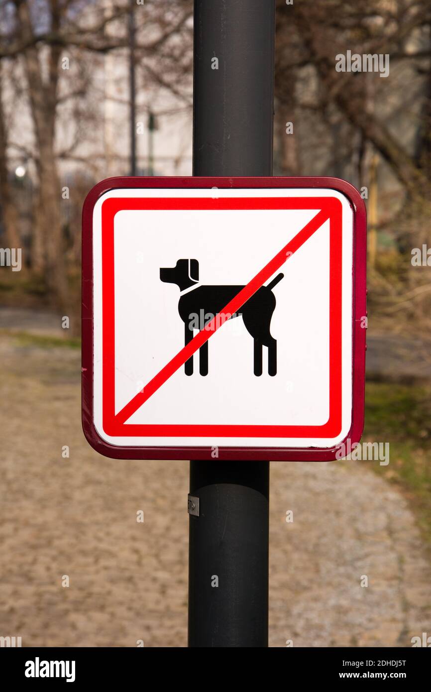 I cani non firmare in posizione di parcheggio Foto Stock