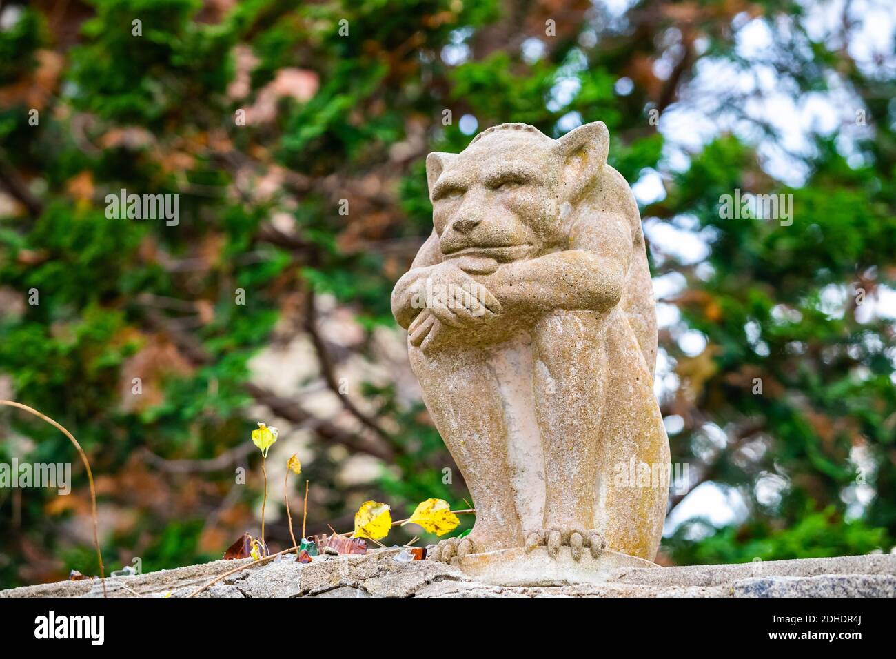 Grumpy e carino pietra gargoyle decorazione medievale statua d'epoca Foto Stock