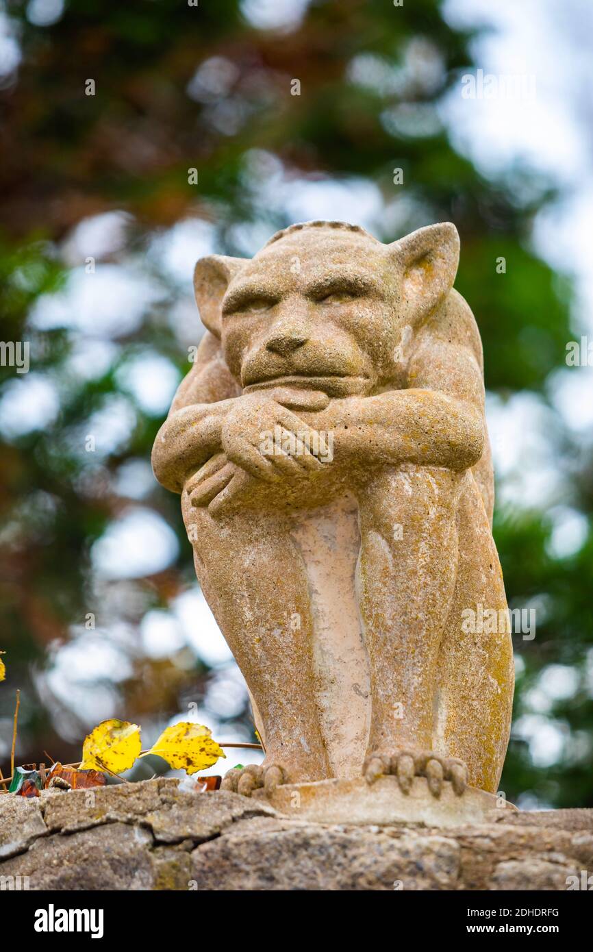 Grumpy e carino pietra gargoyle decorazione medievale statua d'epoca Foto Stock