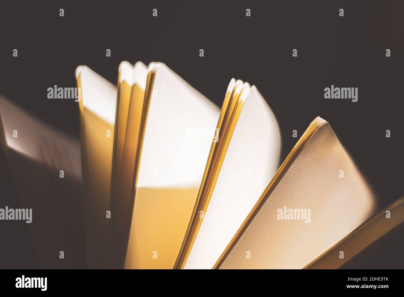 vecchio notebook aperto con fogli separati Foto Stock