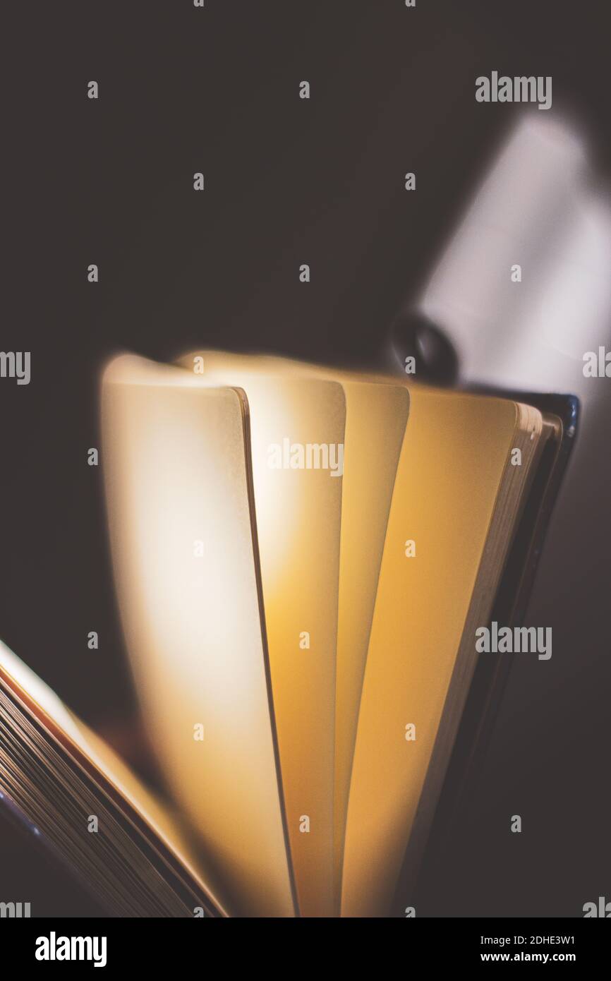 vecchio notebook aperto con fogli separati Foto Stock