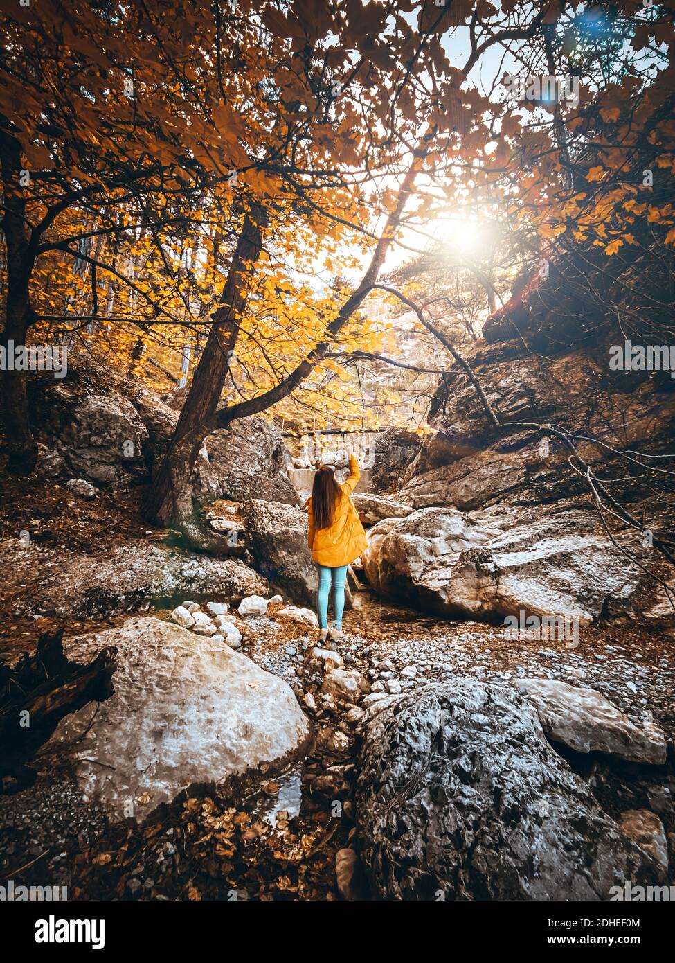 Ragazza alla luce del sole nella foresta che ondeggiante al sole che lascia. Immagine di colore arancione e giallo che illustra il colore illuminante alla moda di 2021 anni Foto Stock