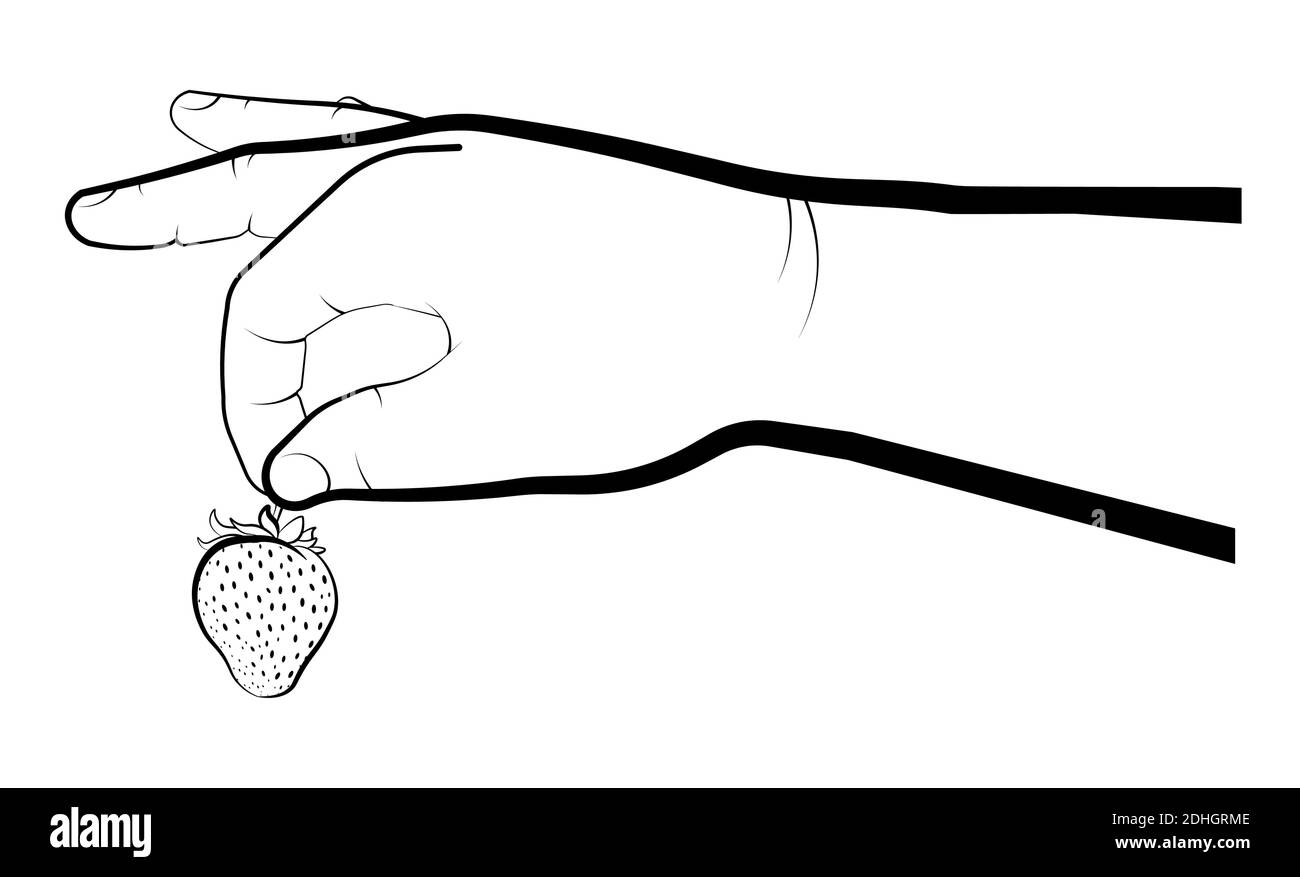 la mano di mans tiene una fragola. Frutti di bosco estivi, fruts succose mature. Dessert da cucina. Vettore isolato su sfondo bianco Illustrazione Vettoriale