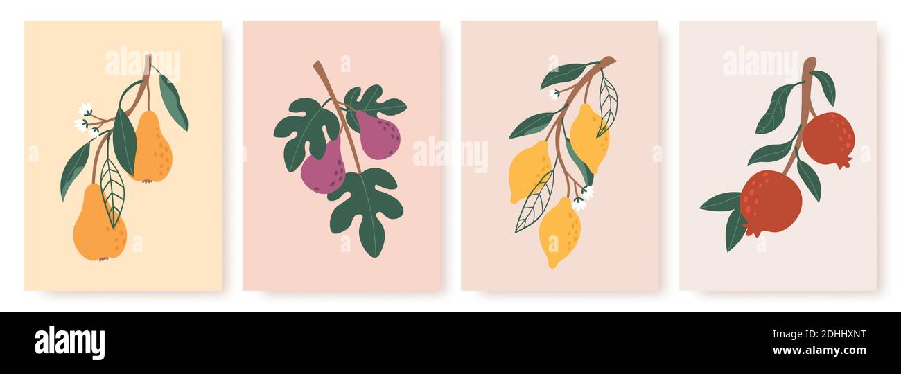 Poster di frutta astratta. Stampe moderne con frutta estiva, foglie e fiori. Rami di limone, pera e fico in un insieme vettoriale minimalista di stile artistico Illustrazione Vettoriale