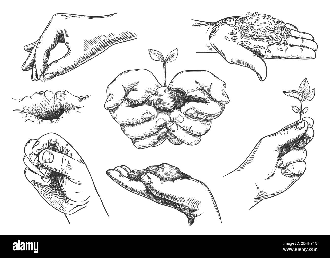 Mani con germoglio di pianta. Coltivatore mano che tiene il suolo e semina. Salvare la natura, crescere nuovi alberi. Insieme di vettori di schizzo per agricoltura ed ecologia Illustrazione Vettoriale