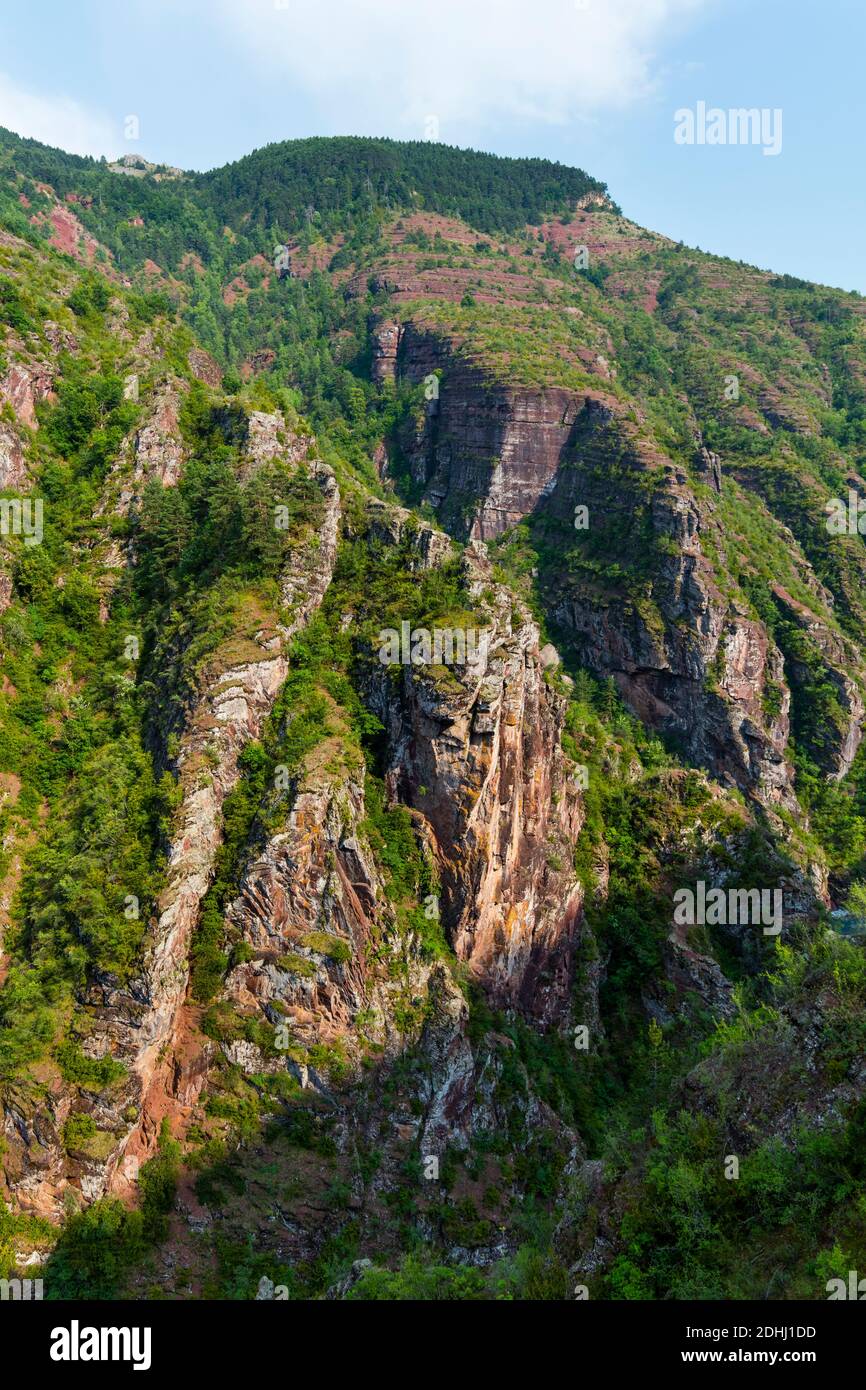 Gorges de Daluis, dipartimento del Var, Alpi dell'alta Provenza, Provenza, Francia, Europa Foto Stock