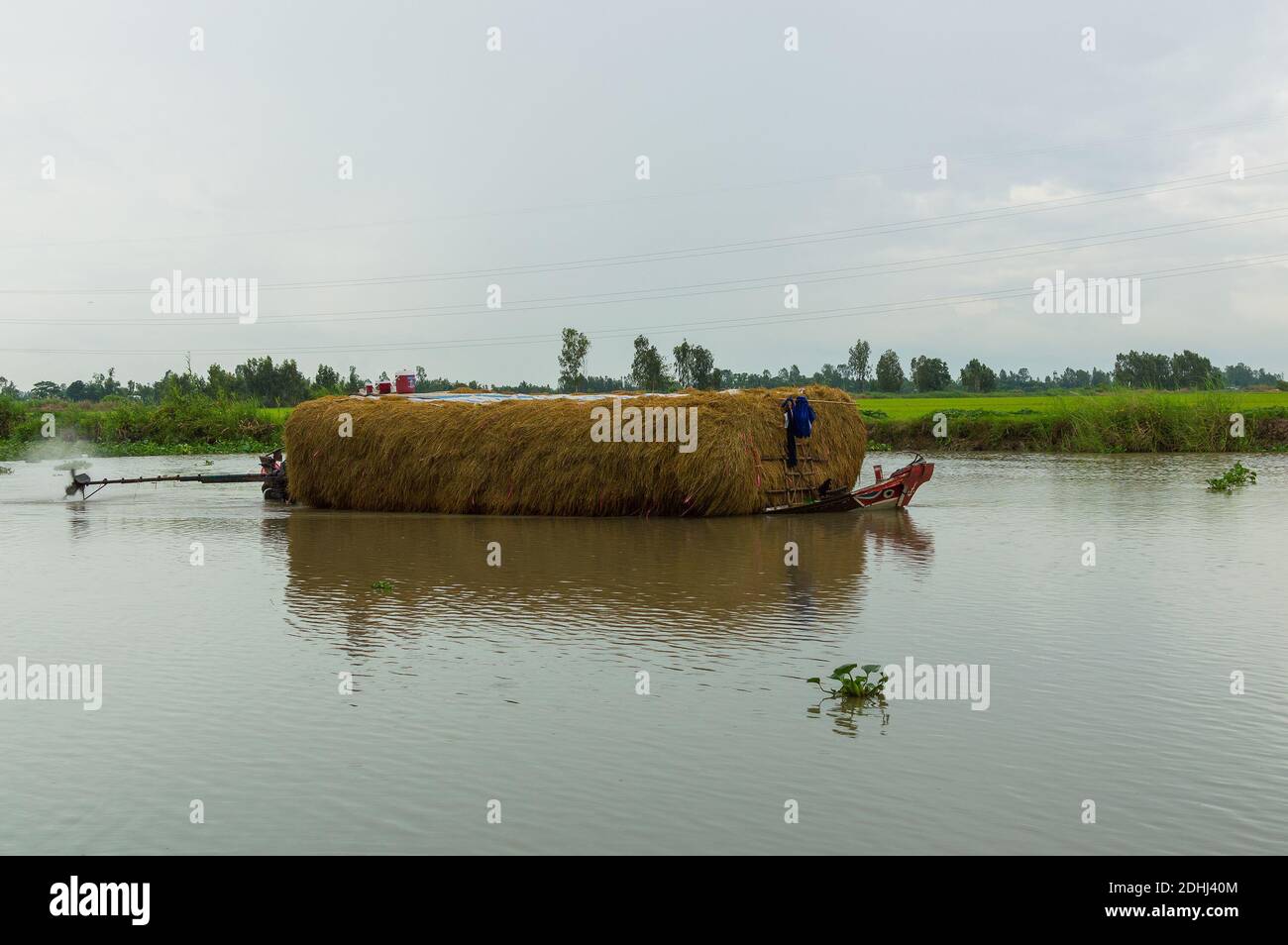Chiatta di lavoro con fieno in piccolo fiume nel delta del Mekong, Vietnam Foto Stock