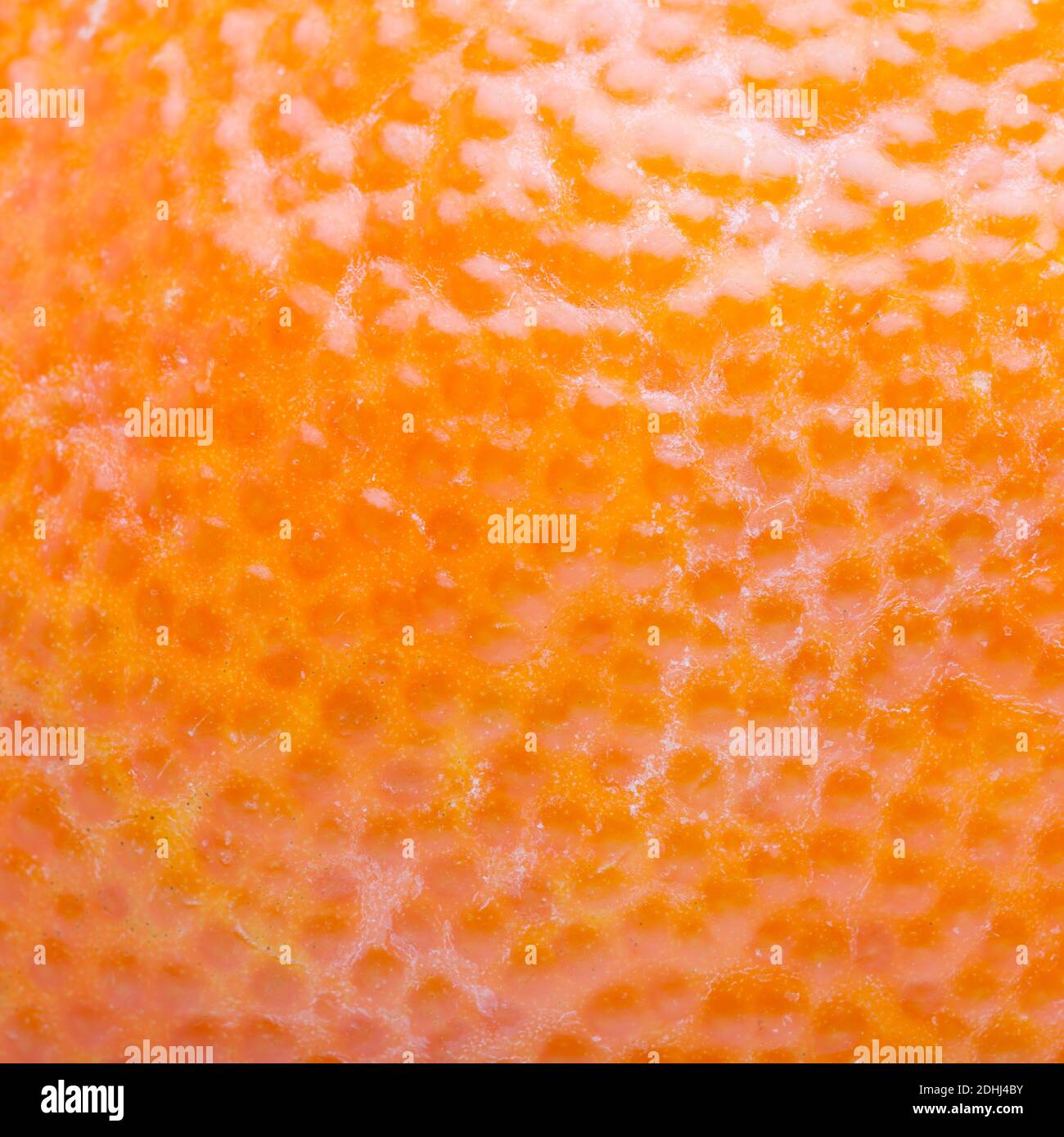 Superficie di un tangerino in dettaglio Foto Stock