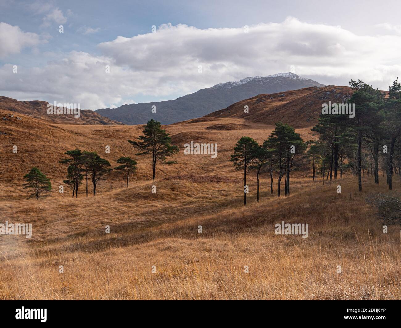 Paesaggio autunnale vicino a Drynie Hill sul lato del A861 strada vicino Strontian Scotland UK Foto Stock