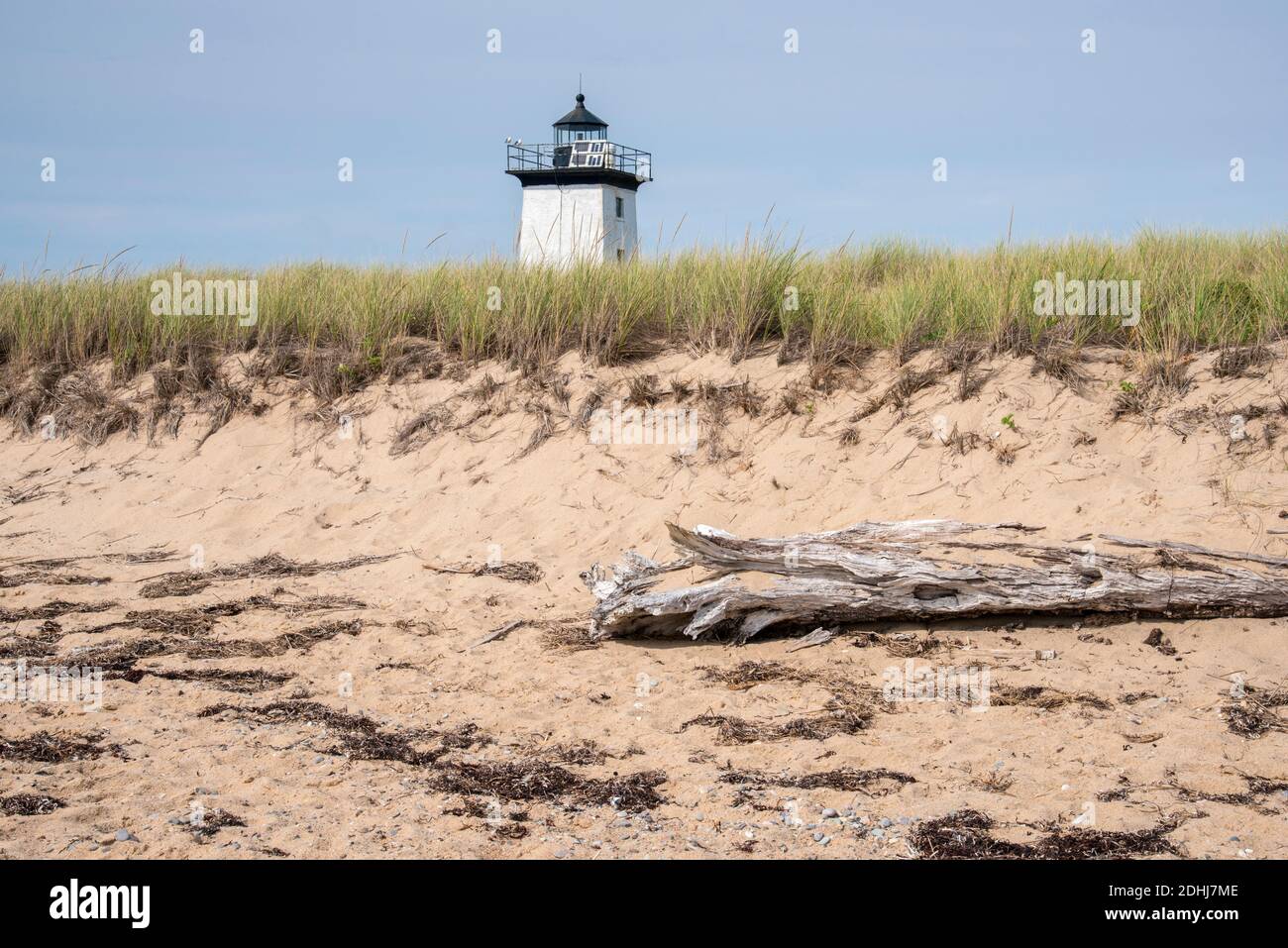 Vista sulla spiaggia e le erbe naturali di Provincetown, Massachusetts, lungo l'Oceano Atlantico Foto Stock