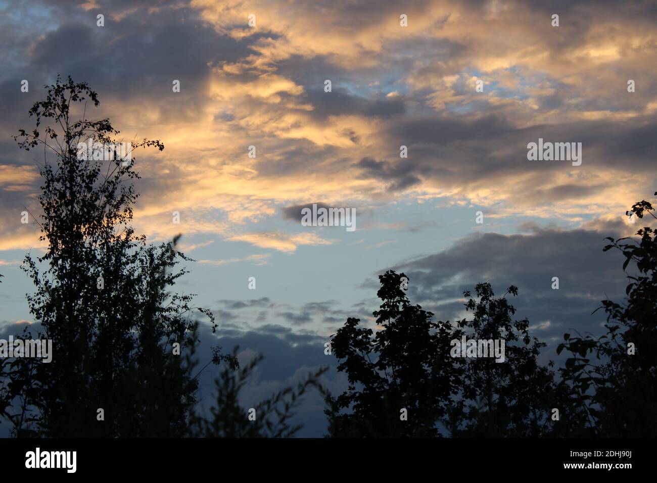 Cielo di sera Foto Stock