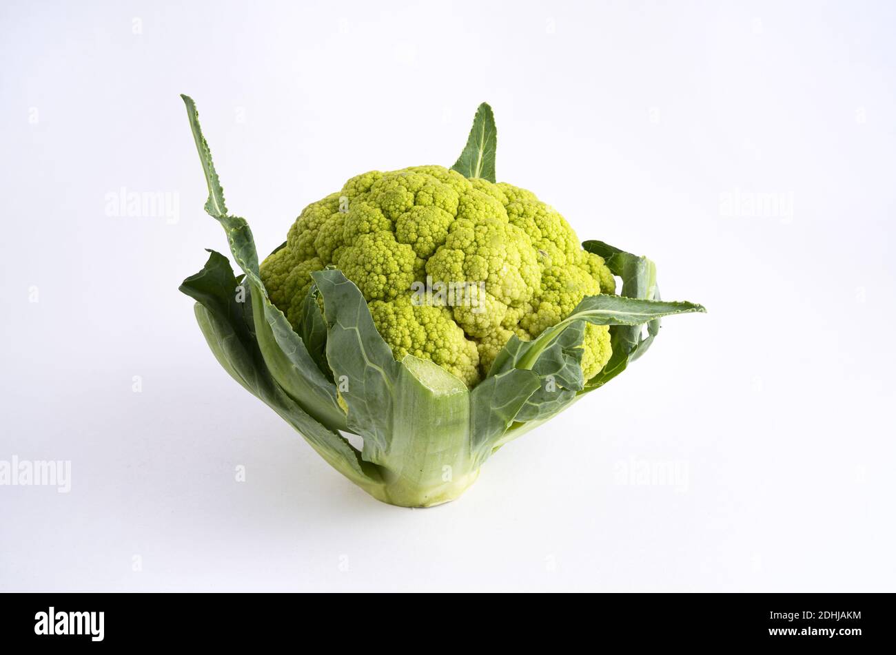 un cavolfiore verde su una superficie bianca Foto Stock