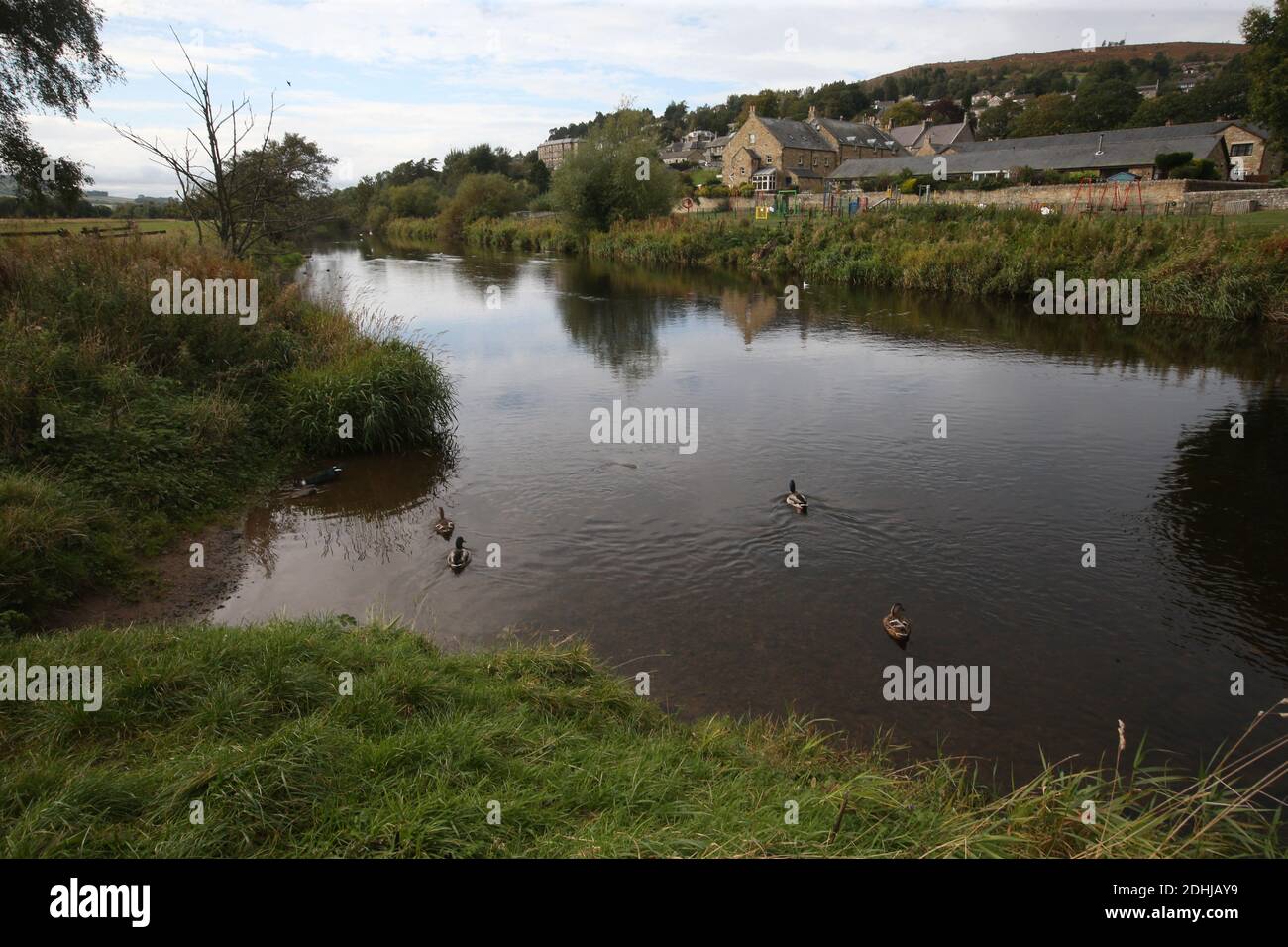 The River Coquet a Rothbury.Sabato 3 ottobre 2020. Foto Stock