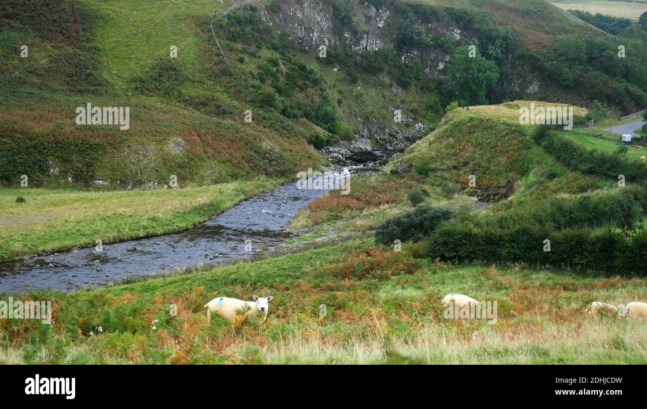 Il fiume Coquet scorre attraverso una profonda gola a Shillmoor.Sabato 3 ottobre 2020. Foto Stock