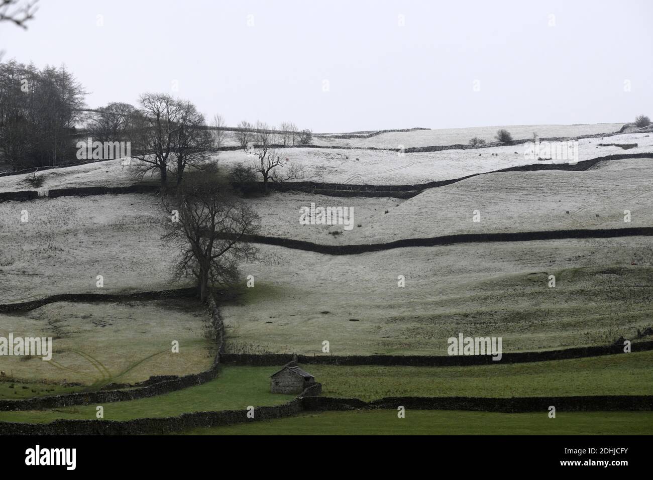 Nella foto è raffigurata una scena innevata nelle Yorkshire Dales sopra Settle. Meteo neve neve neve neve neve neve inverno nevicata Foto Stock