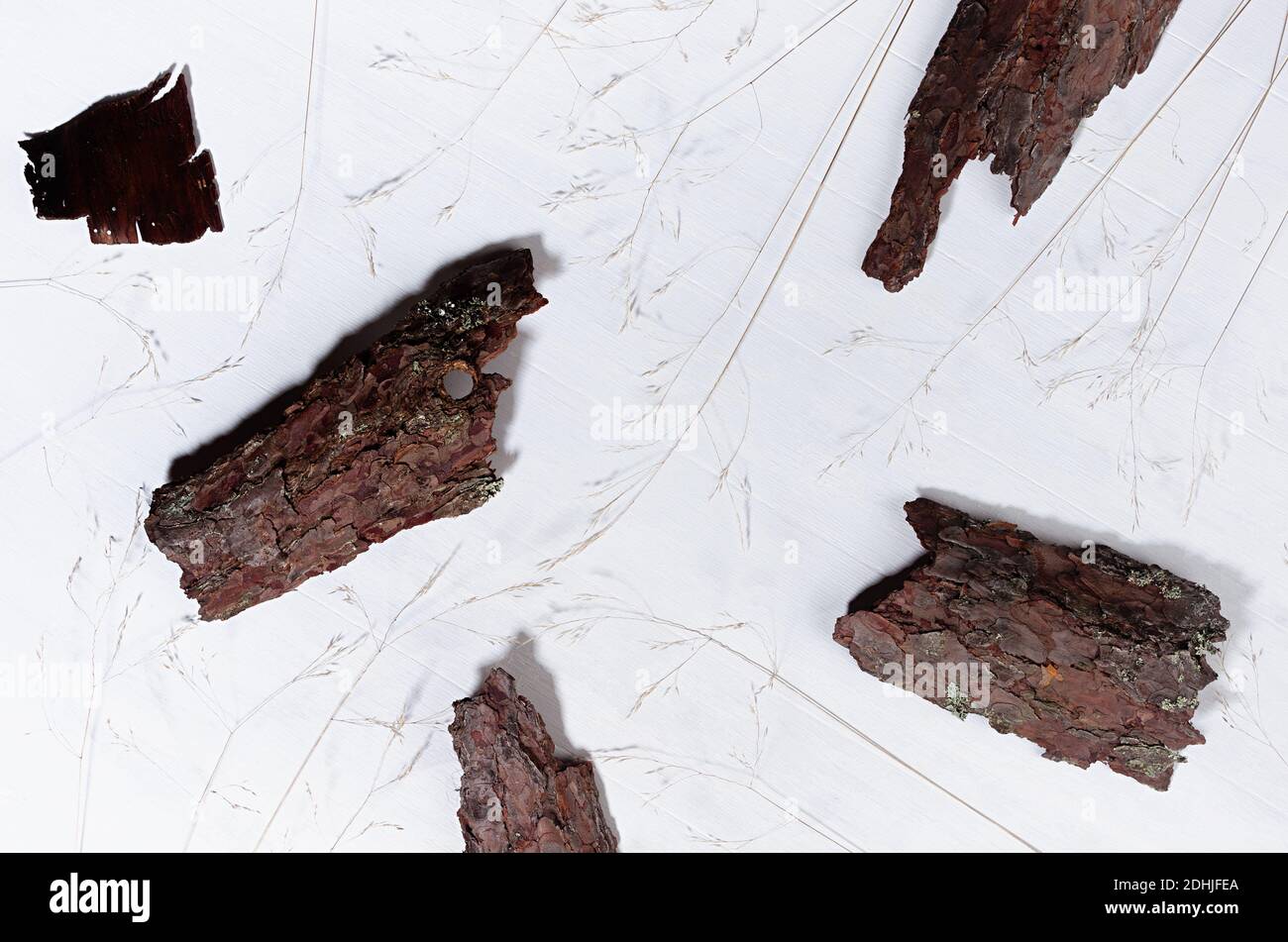 Semplice sfondo astratto organico moderno con pezzi ruvidi corteccia marrone e steli di erba secca su tavola di legno bianco, vista dall'alto. Foto Stock