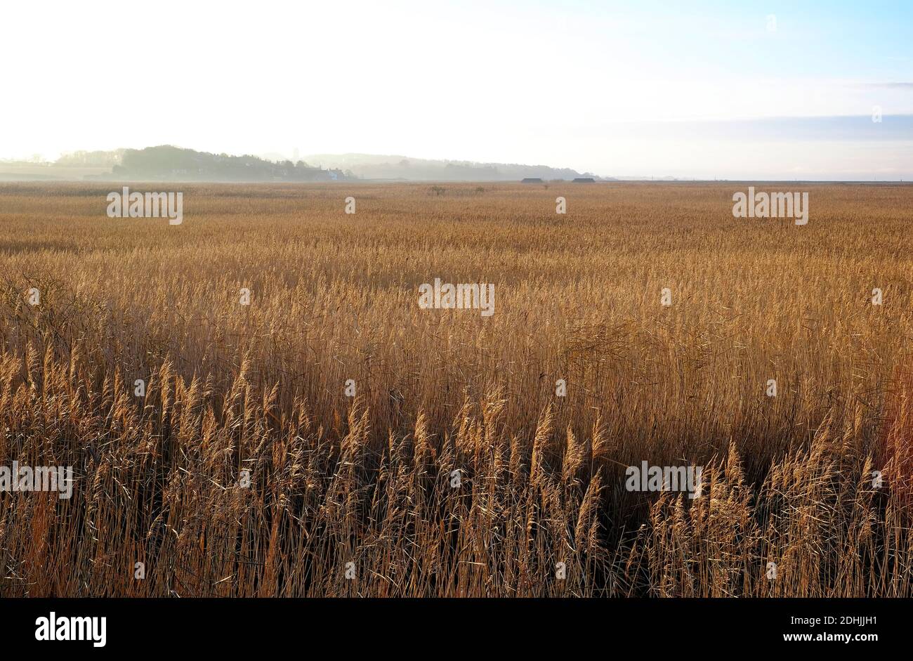 riserva naturale cley-next-the-sea, norfolk settentrionale, inghilterra Foto Stock