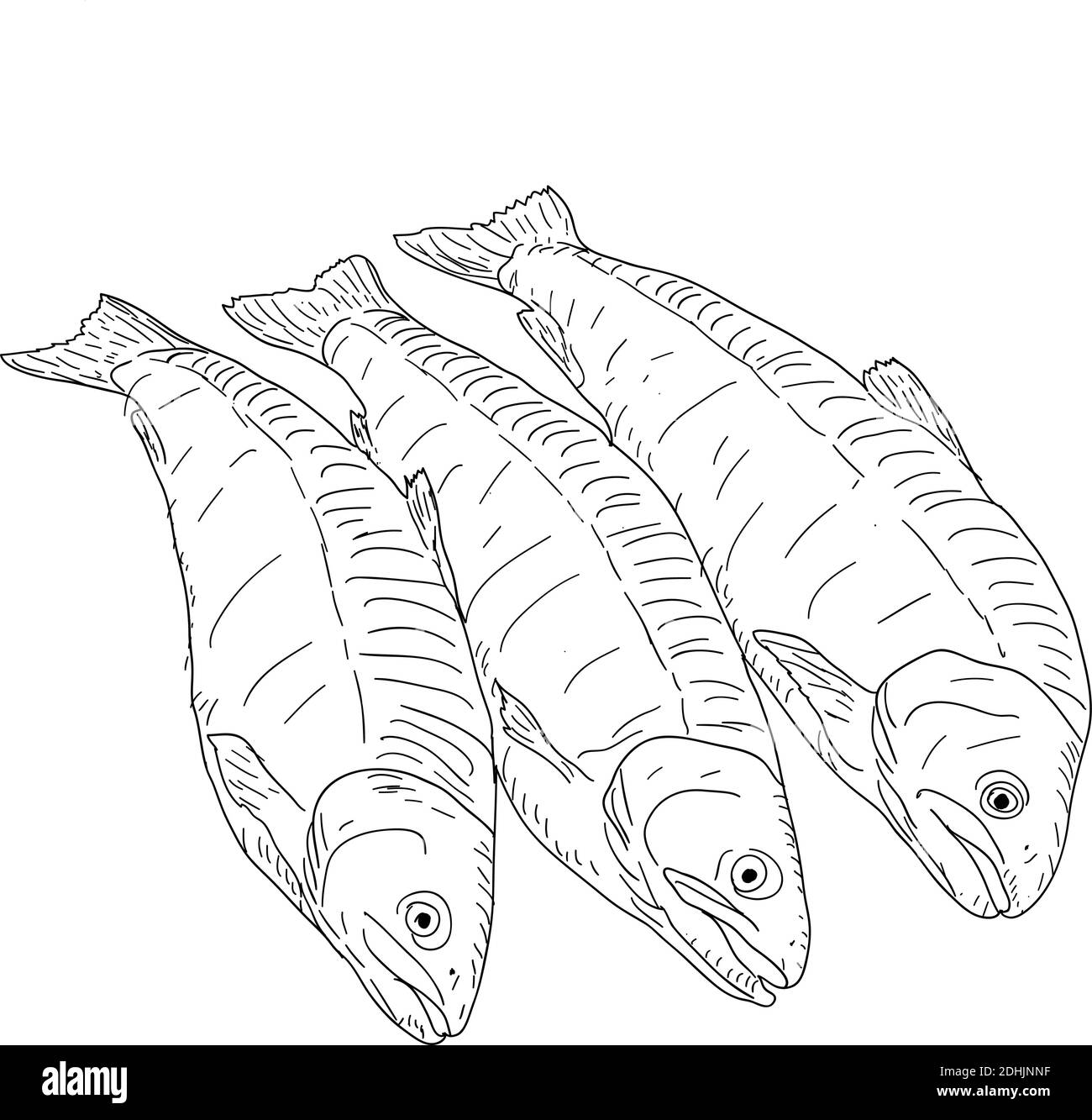 collezione di pesci marini naturali schizzo su sfondo bianco. Illustrazione Vettoriale