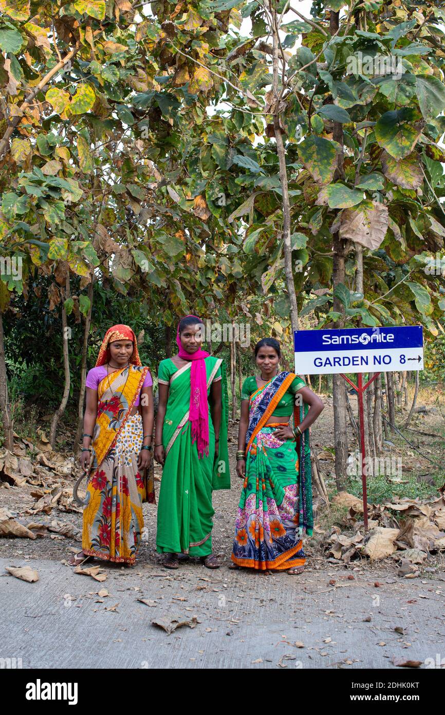 Tre donne giardiniere che indossano abiti tradizionali indiani in posa a Samsonite stabilimento di produzione in Nashik India. Foto Stock