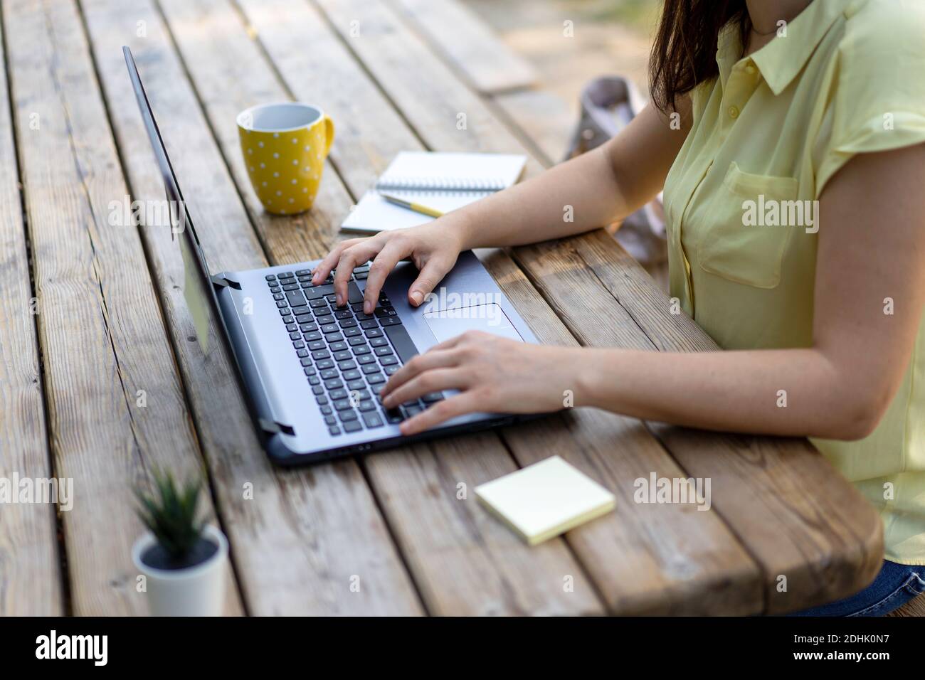 Giovane donna che usa un computer portatile nel parco pubblico - Millennial femminile freelance che lavora in remoto dietro un primo piano di un laptop in Un parco cittadino - Technol Foto Stock