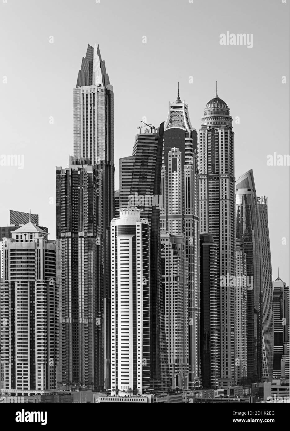 I cammelli sulla spiaggia di Jumeirah e grattacieli in backround in Dubai, Dubai, Emirati Arabi Uniti Foto Stock