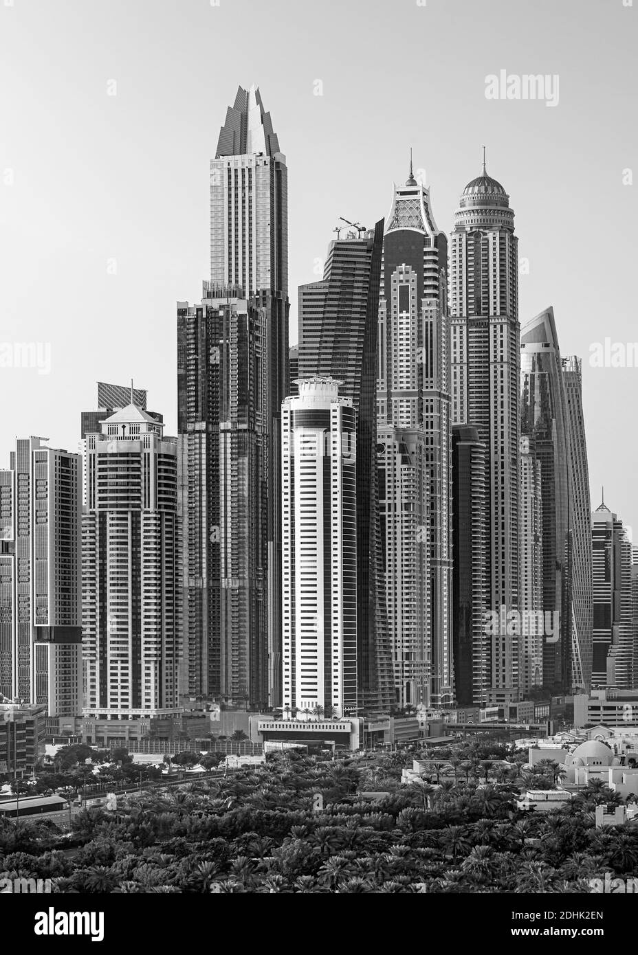 I cammelli sulla spiaggia di Jumeirah e grattacieli in backround in Dubai, Dubai, Emirati Arabi Uniti Foto Stock