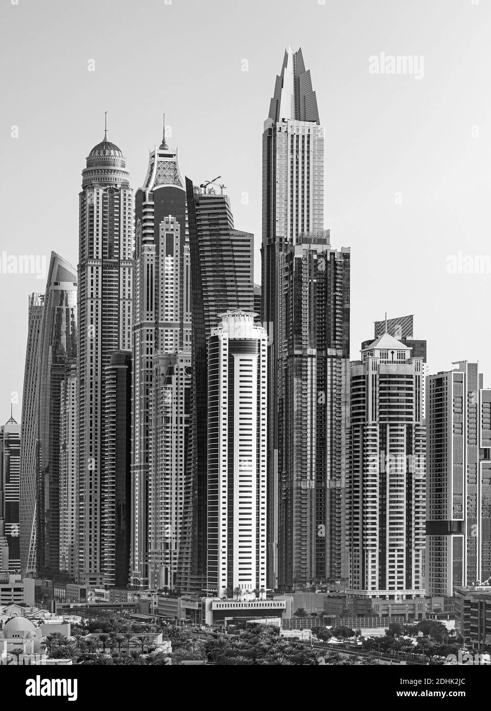 I cammelli sulla spiaggia di Jumeirah e grattacieli in backround in Dubai, Dubai, Emirati Arabi Uniti Foto Stock