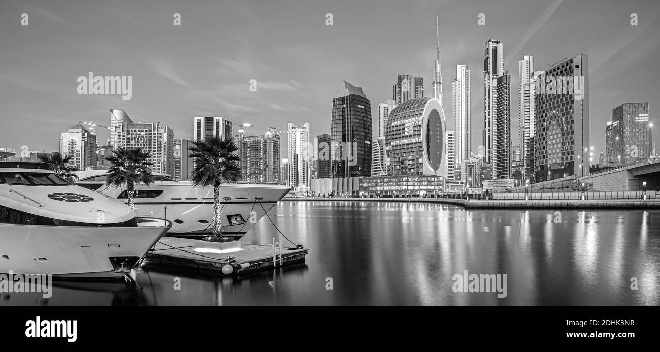 I cammelli sulla spiaggia di Jumeirah e grattacieli in backround in Dubai, Dubai, Emirati Arabi Uniti Foto Stock