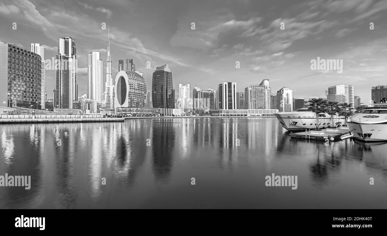 I cammelli sulla spiaggia di Jumeirah e grattacieli in backround in Dubai, Dubai, Emirati Arabi Uniti Foto Stock