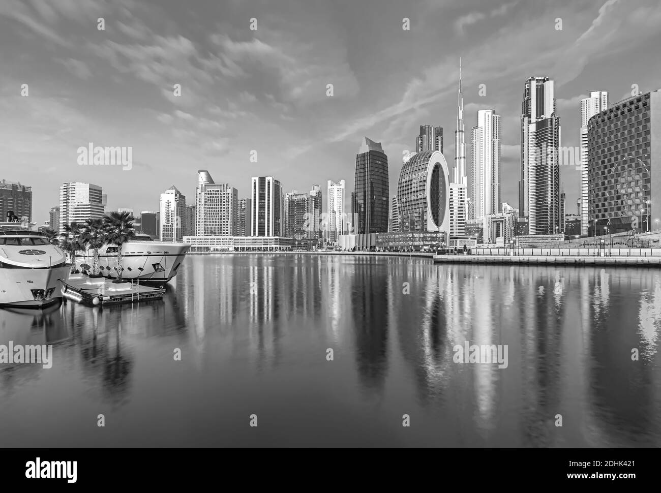 I cammelli sulla spiaggia di Jumeirah e grattacieli in backround in Dubai, Dubai, Emirati Arabi Uniti Foto Stock