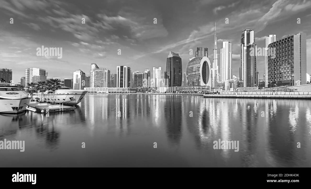 I cammelli sulla spiaggia di Jumeirah e grattacieli in backround in Dubai, Dubai, Emirati Arabi Uniti Foto Stock