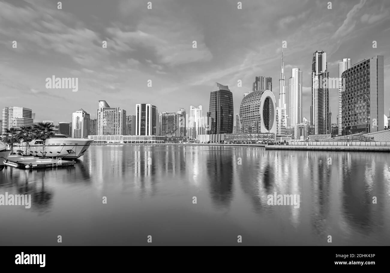 I cammelli sulla spiaggia di Jumeirah e grattacieli in backround in Dubai, Dubai, Emirati Arabi Uniti Foto Stock