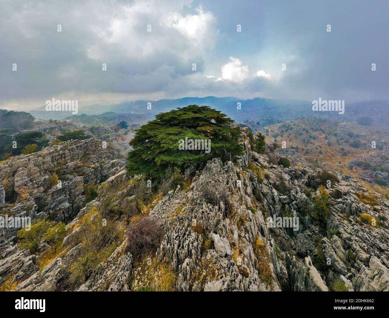 Foto casuali dalla bellezza della natura libanese Foto Stock